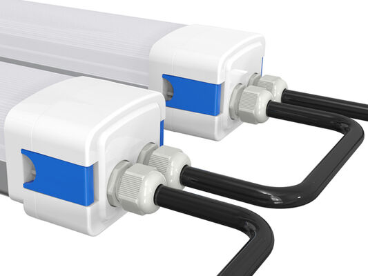 Dualrays D5 LED Lampu tahan kelembaban dengan DIP Power Switchable / 3CCT Efisiensi 160LPW