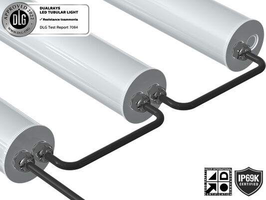 Lampu Tubular LED 1.5m 60W IP69K IK10 TB7 untuk Fasilitas Kimia dengan 3 atau 5 kabel yang dapat dihubungkan dan Sakelar DIP untuk Daya/3CCT/Perubahan 3-Fase