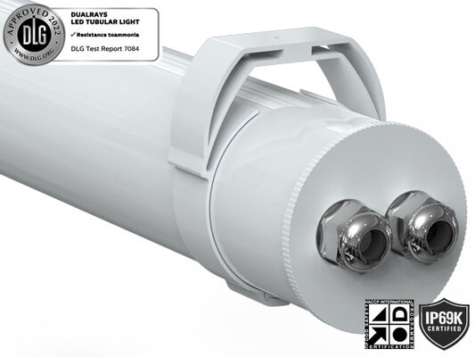 Lampu Tubular LED 1.5m 60W IP69K IK10 TB7 untuk Fasilitas Kimia dengan 3 atau 5 kabel yang dapat dihubungkan dan Sakelar DIP untuk Daya/3CCT/Perubahan 3-Fase