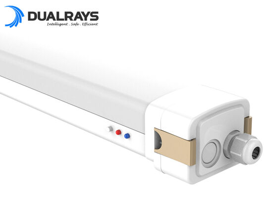 DUALRAYS Europe Stocking LED Highbay Light Dikirim Langsung dari Belanda dalam 3 Hari Kerja dan Layanan Purna Jual Lokal
