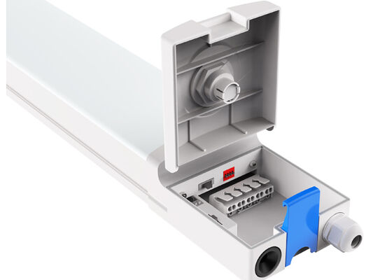 D4 Lampu tahan kelembaban LED dengan hingga 130 LPW DIP Power/3CCT/3-Phase Changing 1SKU=12SKU Ramah untuk stok dan aliran kas Optimasi Mudah untuk kontrol kelompok