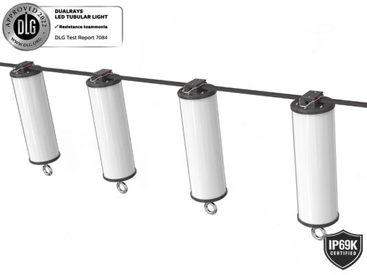 Dualrays D2 Series 50W Outdoor dan Indoor LED Tri Proof LED Batten Light Panjang 160LMW 5 kaki