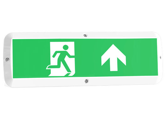 Lampu Teras LED Bulk Head 8W dengan Fungsi Darurat dan Sensor Gerak IP65