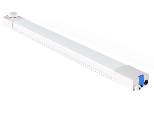 Lampu LED D4 Tahan Lembap 160LPW dengan Steker 4 Darurat Siap Pakai 4W@3HRS dan 3*1,5mm2 | 5*1.5mm2 | 3*2.5mm2 | Kabel 5*2,5mm2 untuk opsi