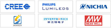 DUALRAYS F4 Led Sports Ground Lighting Ground Mounting Wall Mounting Ceiling Mounting Pipe Mounting Instalasi