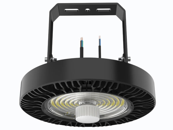 600W LED Sports Ground Lampu Sorot Dirancang untuk Pencahayaan Olahraga Lensa Professioanl 1-10V PWM DALI Zigbee Control