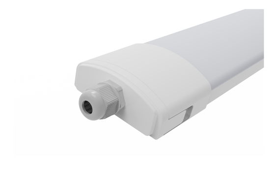 DUALRAYS 600mm 20 Watt IP65 LED Triproof Light Dengan Suspending Surface Mounted