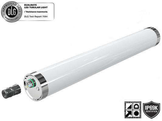 5FT D6 Tri Proof Light 40W 50W Kecerahan Tinggi 8000LM IP69K IK10 dengan laporan CE