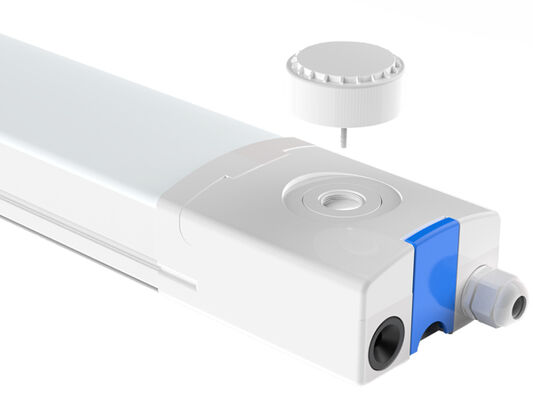 D4 Lampu tahan kelembaban LED dengan hingga 130 LPW DIP Power/3CCT/3-Phase Changing 1SKU=12SKU Ramah untuk stok dan aliran kas Optimasi Mudah untuk kontrol kelompok