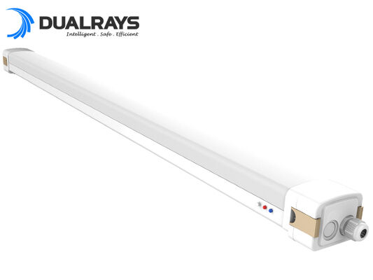 Dualrays D5 Series 3ft 40W 160LmW Efisiensi Tinggi LED Tri Proof Light untuk Lokakarya dan Gudang