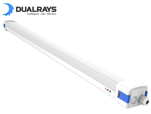 Lampu LED Tahan Lembap 5 Kaki/62W D5 dengan Daya Sakelar DIP/Efisiensi 3CCT 160LPW Garansi 5 Tahun
