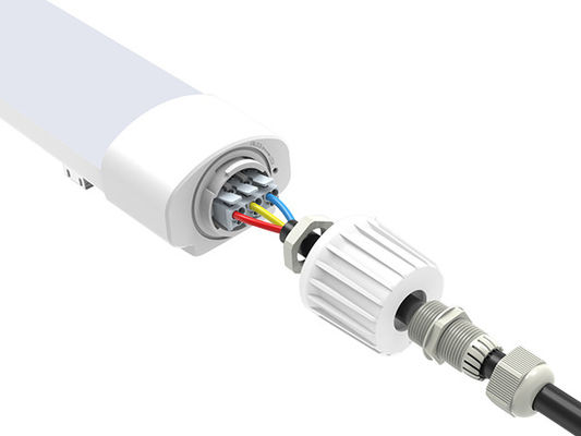 Full Plastic Tri Proof Light 36W D2 IP65 LED Vapor Proof Light IP65 IK08 Untuk Proyek Whoelsale